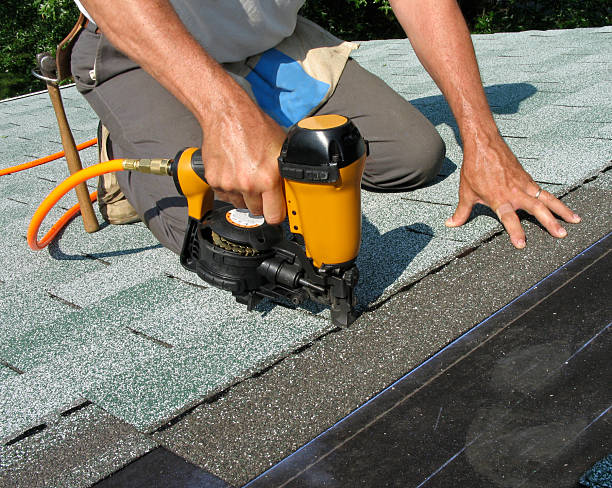 Best Roof Gutter Cleaning  in Roxboro, NC