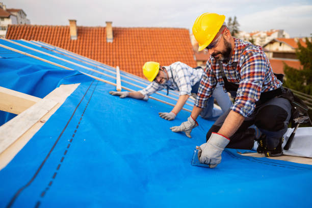 Best Flat Roof Repair Services  in Roxboro, NC